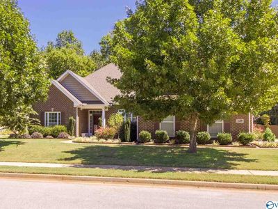 149 Sage Willow Dr SW, Madison, AL, 35756