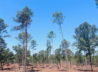 0 Suggs Mill Pond Rd LOT 5, Reynolds, GA 31076