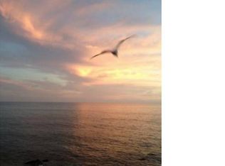20320 Pacific Coast Hwy, Malibu, CA 90265