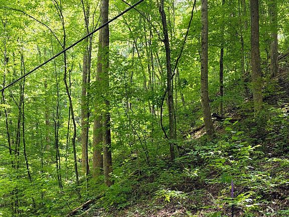 2nd image of LOT 25 Black Walnut Flats Rd