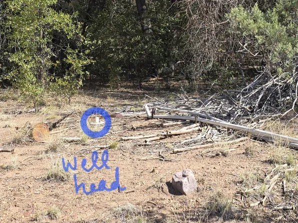 16E Naegelin Crossing #2A, Young, AZ 85554