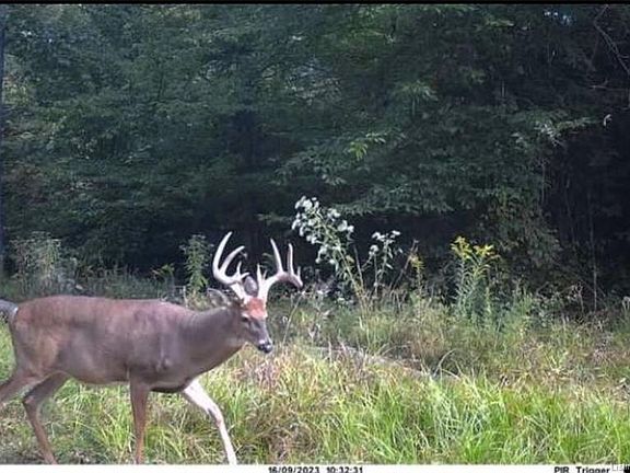 3rd image of 5 Deer Creek Rd