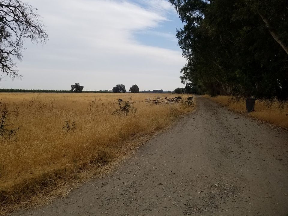 2nd image of 15230 Summy Rd