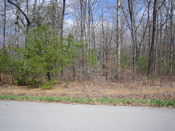 4th image of Basses Creek Ln