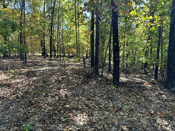 4th image of 6620 N Starr Ridge Rd