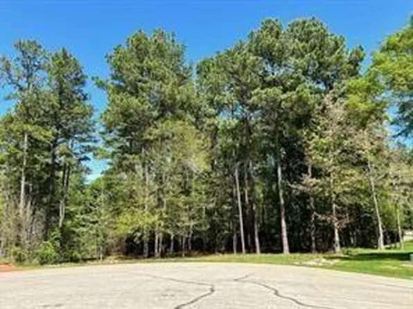 1513 Citron Ct, Willis, TX 77378