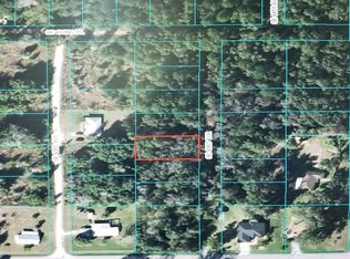 0 SE 43 Ter, Belleview, FL 34420