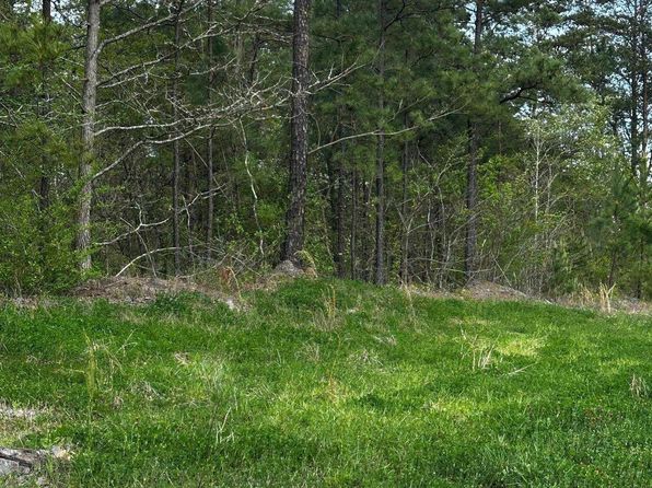 3600 Glovers Bend Rd #1, Dora, AL 35062