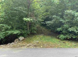 120 Long Rifle Rd #120, Sevierville, TN 37862