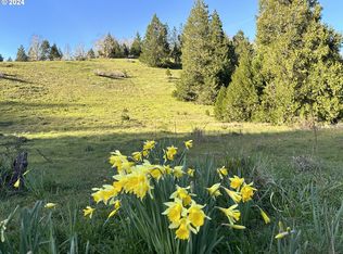 2051 Sibold Canyon Rd, Tenmile, OR 97481