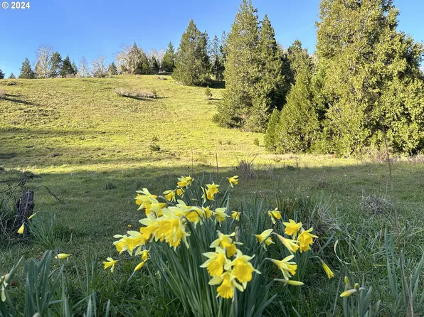 2051 Sibold Canyon Rd, Tenmile, OR 97481