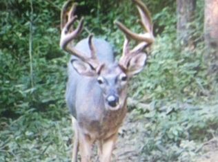 1975 Rock Springs Rd, Charlotte, TN 37036