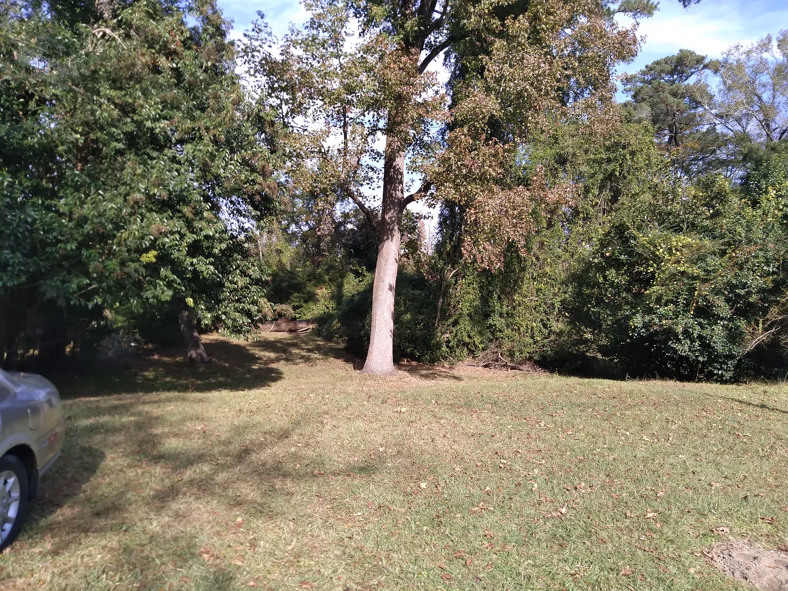 Nelson Dr, Jacksonville — Photo 1