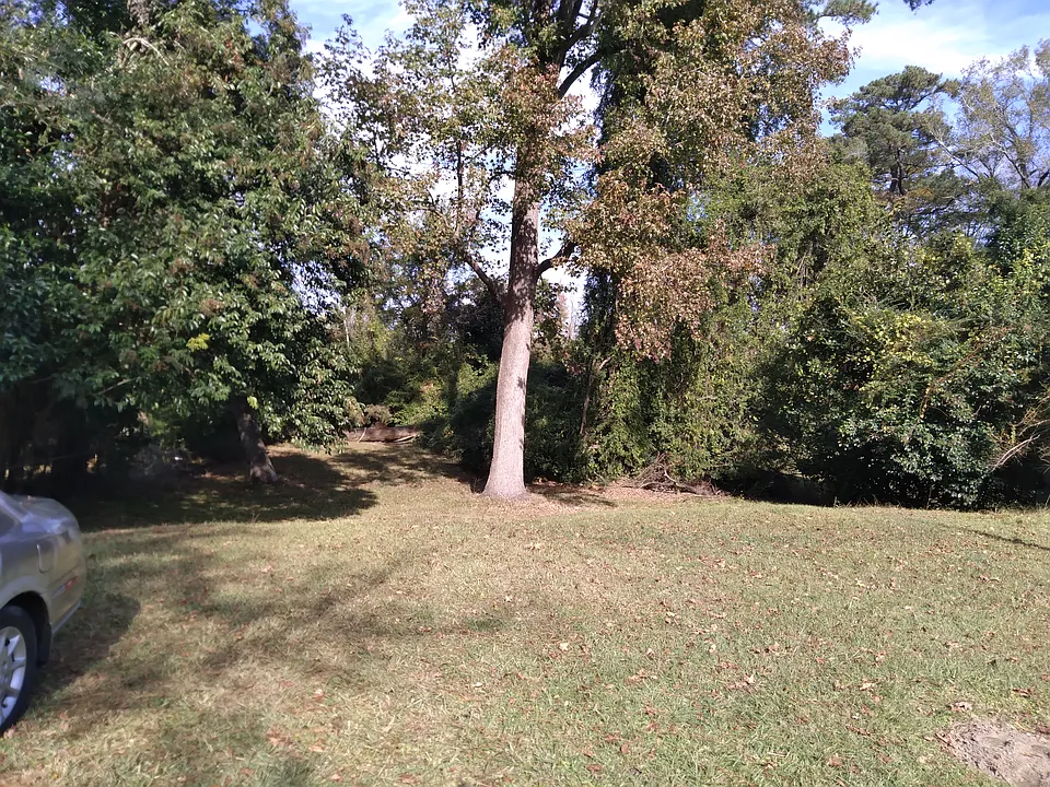 Nelson Dr