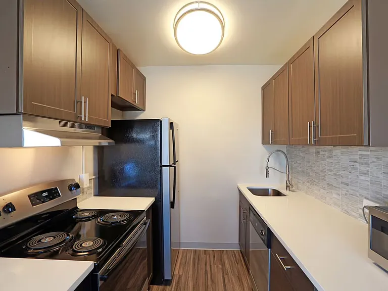 Camellia Apartments — Photo 11
