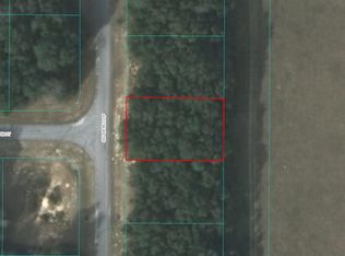 1665 SW 168th Loop, Ocala, FL 34473