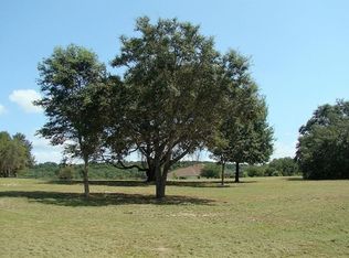 20138 Sweetwood Ln, Clermont, FL 34715