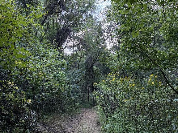 5th image of Tbd Caney Valley Rd