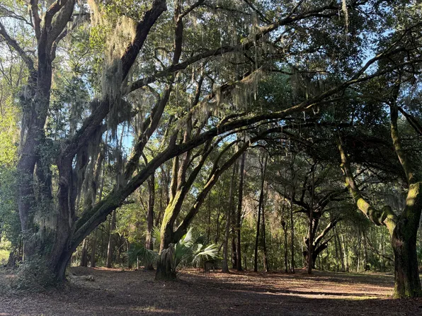 7939 Legare Rd, Edisto Island, SC 29438