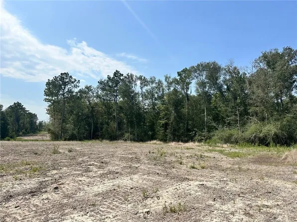 0 Hecker Rd, Iowa, LA 70647