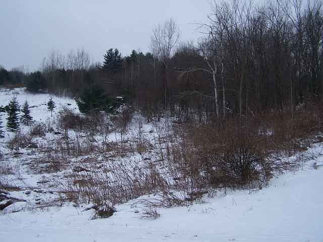 1st image of 4 Tucker Pond Ct