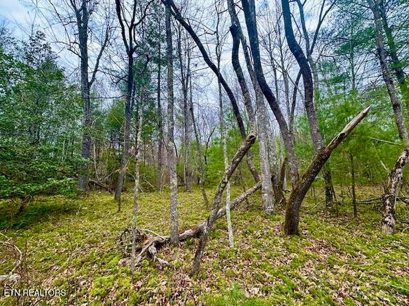 144 Gunter Pl, Sunbright, TN 37872