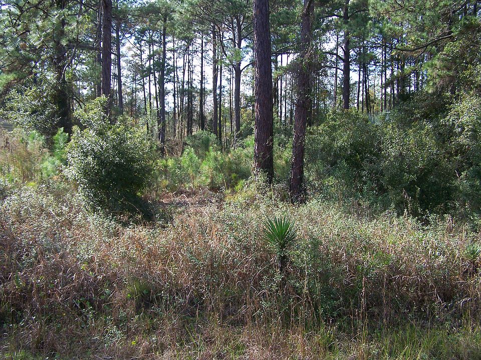 2nd image of Gobbler Rd