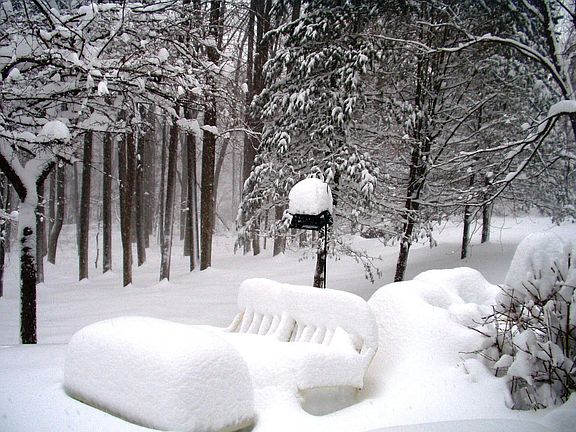 From Family Room - Winter