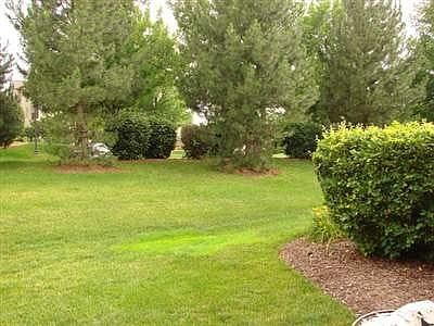 yard view