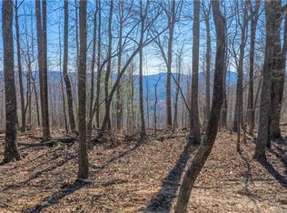 0 Pinnacle Mountain Rd #3, Zirconia, NC 28790