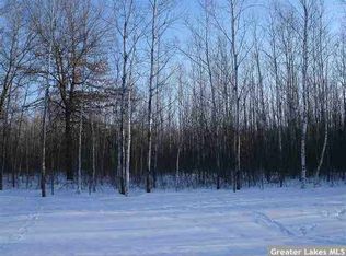 Xxx 230th St, Randall, MN 56475