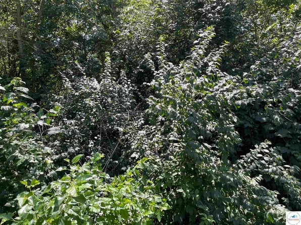 218 E Clay St, Sedalia, MO 65301