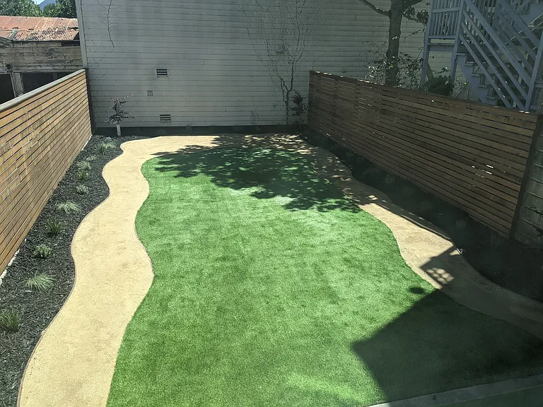 large shared backyard space