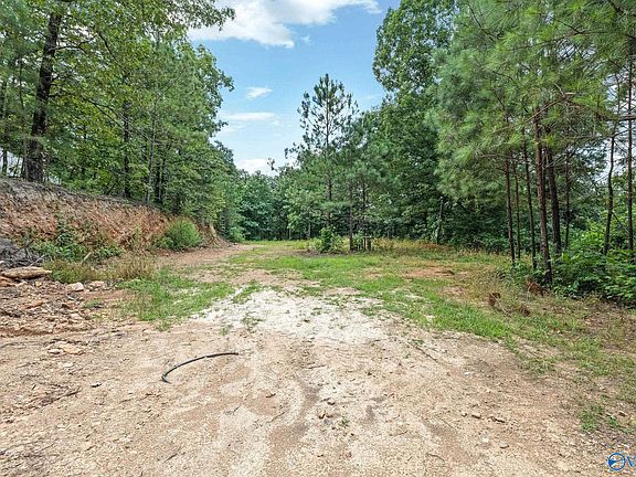 2nd image of 1841 Bud Umphrey Rd