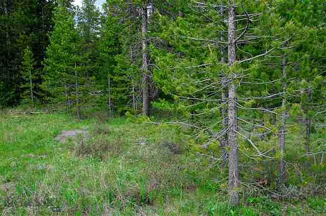 1st image of Tbd Moose Dr