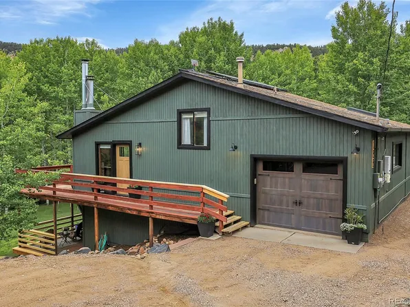 188 Silver Springs Road, Bailey, CO 80421
