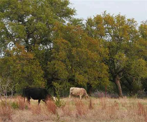 1st image of 1149 County Road 106