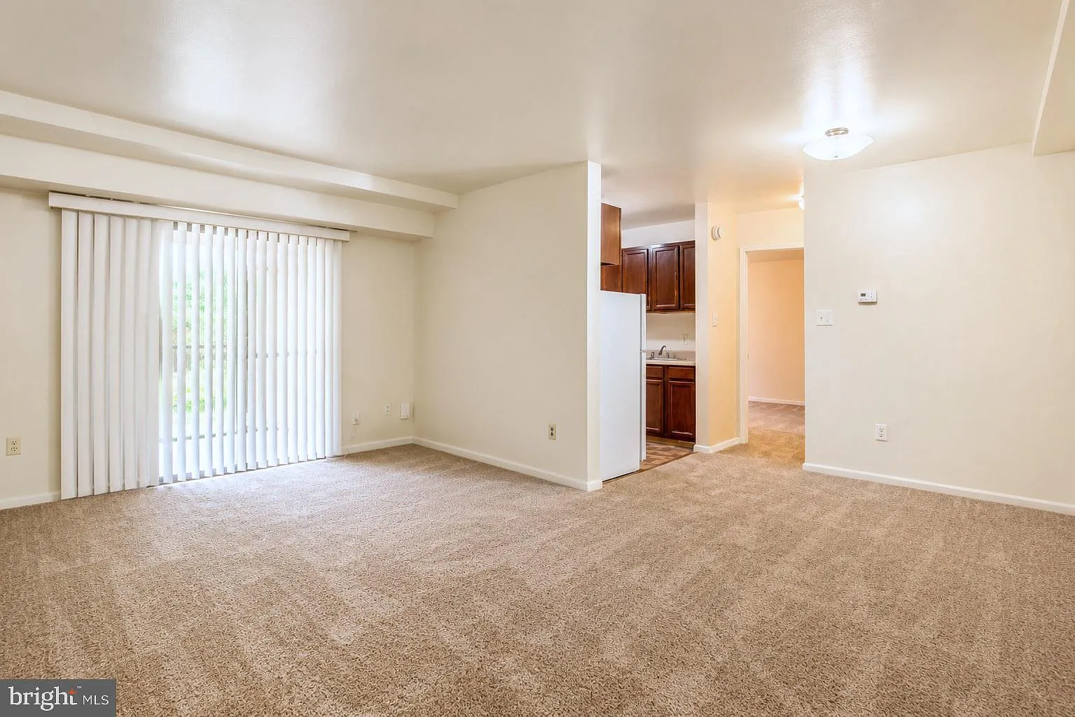 1 bed, $1,250 — Photo 3