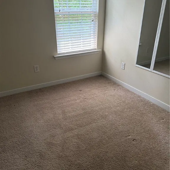 4307 Twisted Oak Dr — Photo 6