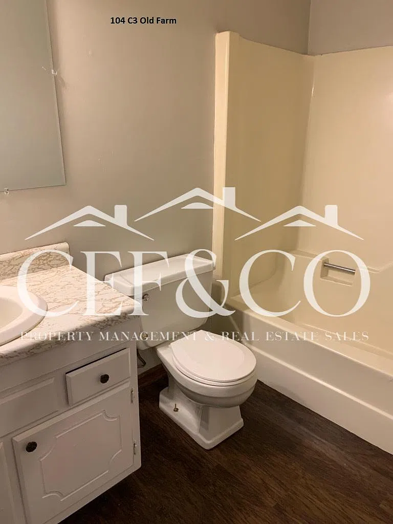 Studio, 735 sqft, $750 — Photo 3