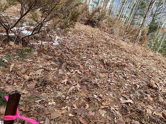 3rd image of LOT 31 Scenic Hills Dr