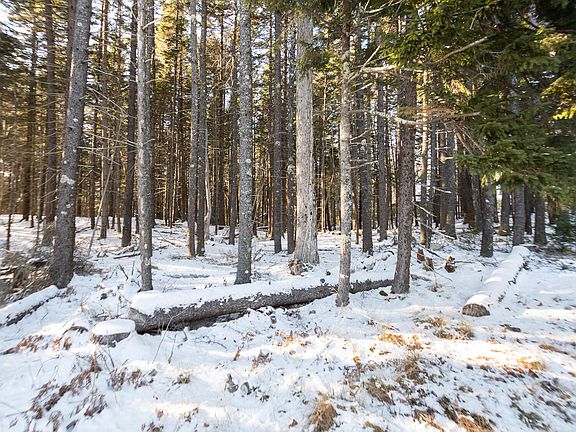 5th image of 25 Long Pond Road