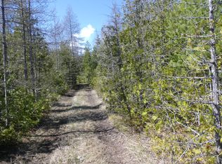 2225 E Lacomb Rd, Alpena, MI 49707