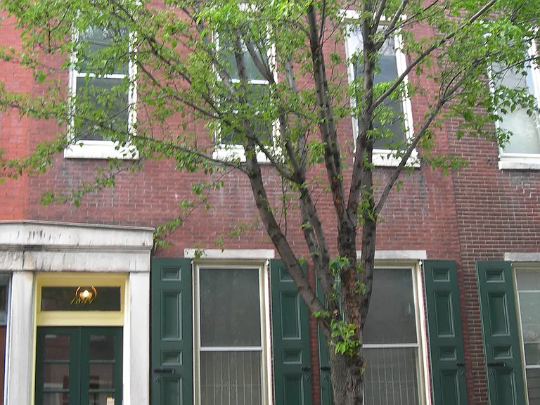 1834 Pine St #1R — Photo 12