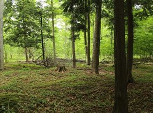 S Stephens Rd, Fountain, MI 49410