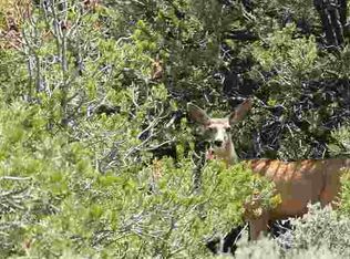 12 St Vrain Dr, San Luis, CO 81152