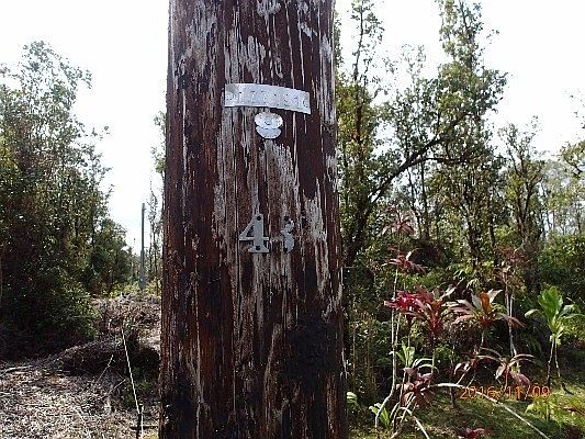 1st image of 11-3270 Hibiscus St Lot 7302
