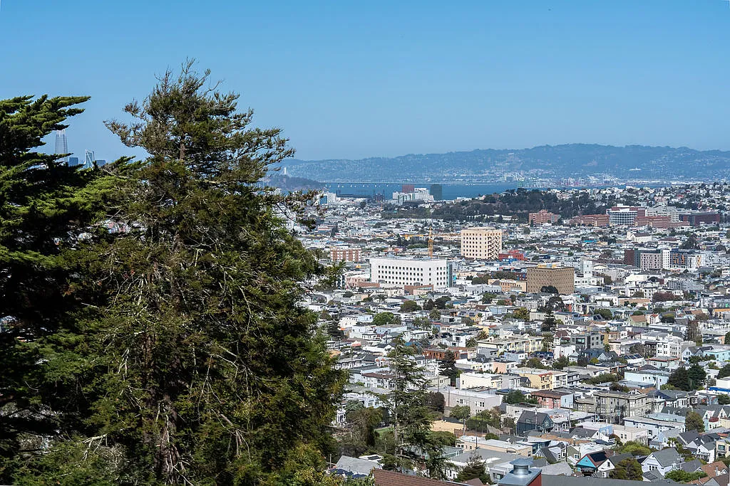 2 bed, $5,500 — Photo 4