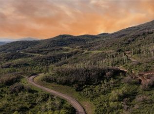 34100 Wildridge Ln, Steamboat Springs, CO 80487