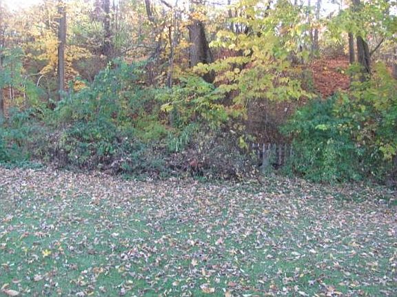 3rd image of 1311 Irma Ave